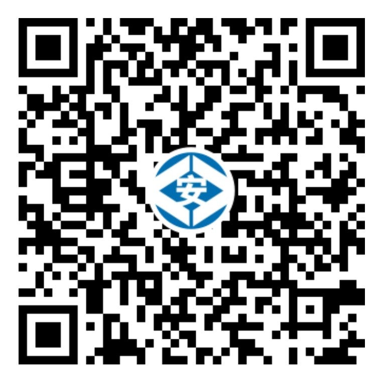 共享安全网快手